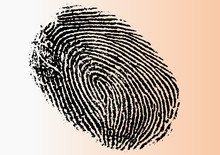 Vector Fingerprint - Very Detailed