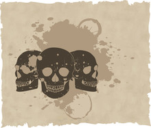 The Brown Vector Grunge Skull On Old Paper