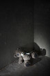 Leinwanddruck Bild - Lost teddy bear