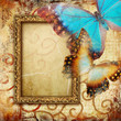 vintage  background with frame and butterflies