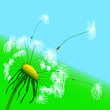 Abstract vector illustration of a dandelion