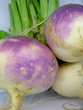 Purple Turnips - Nabos