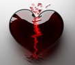 © Iaroslav Neliubov - The Heart black broken