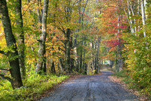 Fall Color Along Road In Sugar Hill, New Hampshire