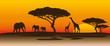 Sunset Afrika