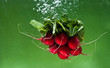 Bunch of radishes dropped into water