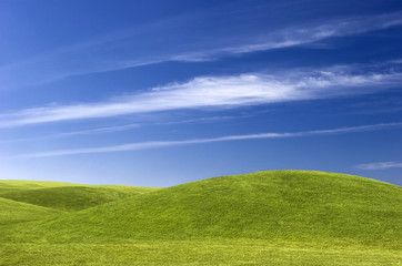 Wall Mural - Green Meadow