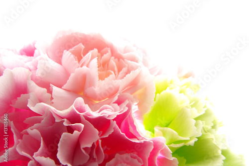 Naklejka dekoracyjna Bukiet kwiatów w zbliżeniu