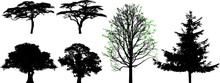 Trees - Vector Set, For Your Design