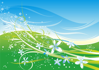 Wall Mural - Summer background