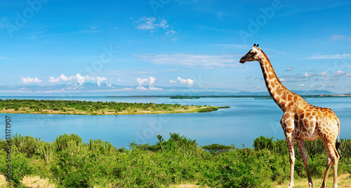 Tapeta ścienna Rzeka Nilu, uganda