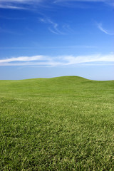 Wall Mural - Green Meadow
