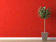 Detail Of Plant On Red Wall