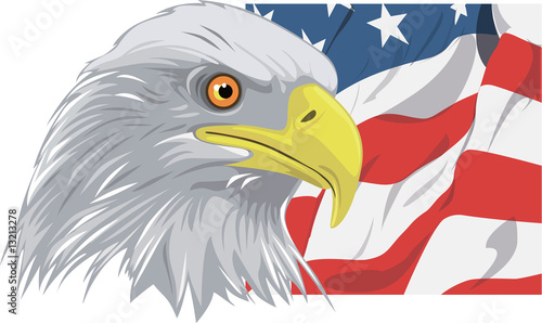 Obraz na płótnie canvas dwuczęściowy "dyptyk" American bald eagle przed flagą