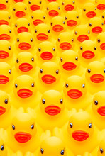 Rubber Duck Army