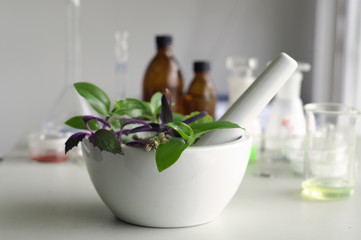 mortar and pestle with herbs