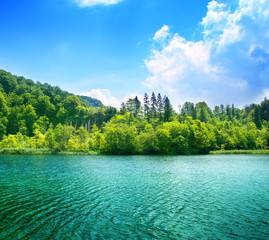 Canvas Print - green water lake