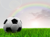 Fototapeta  - 3D black soccer ball,green grass and a blue sky with rainbow