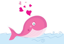 Whale In Love