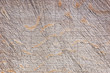 © Cousin_Avi - Weathered unpainted wooden plank close-up