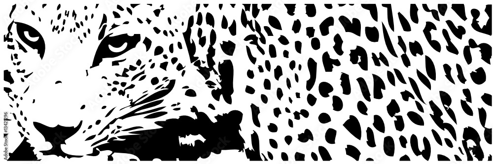 leopard - obrazy, fototapety, plakaty 