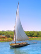 Images from Nile: Feluka sailing