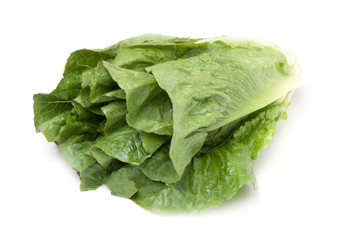 Lettuce