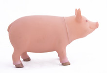 Toy Pig Isolated