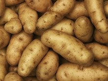 Close-up View Of Anya Potatoes