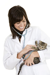 Veterinarian