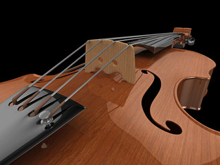 Violin detail