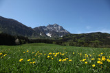 Fototapeta Natura - Alpen