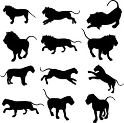 Lion Silhouettes