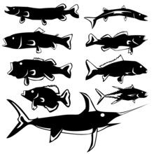 Various Fish In Vector Silhouette