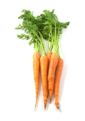 Wall Mural - Group of carrots isolated on white.