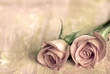 canvas print picture - zwei rosen