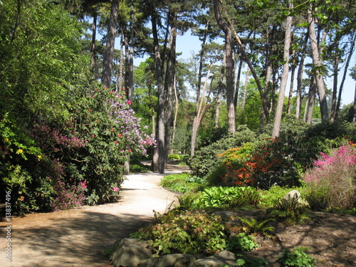 Plakat na zamówienie parc floral de vincennes