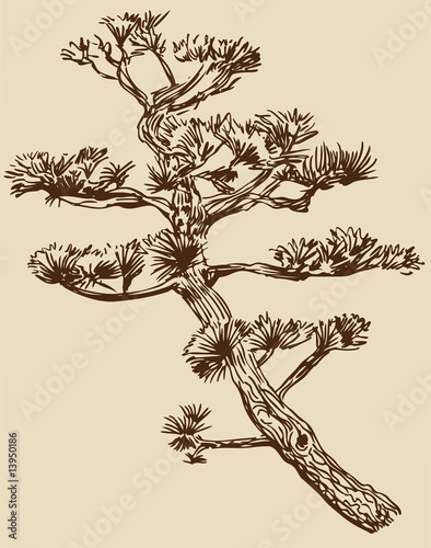 Board z aluminiowym obramowaniem Drzewo bonsai