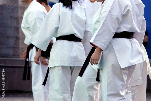 Plakat na papierze fotorealistycznym Dziewczyny karate