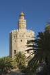 Gold Tower, Seville, Andalucia, Spain