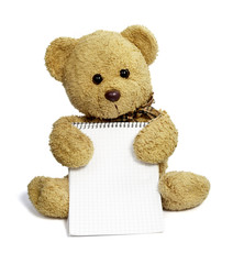 teddy bearholding blank notebook message