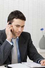 Poster - Businessman talking on mobile phone