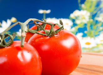 Fresh Red, Ripe Tomatoes.closeup