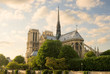 Notre Dame de Paris. Before sunset. France.