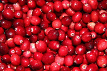 Cranberries