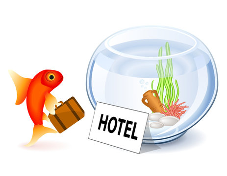 Goldfish Hotel