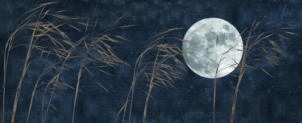 moon and grass collage