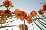 160_f_14188829_oizldybvny2nyllmtowcxmgy3bbexhnb