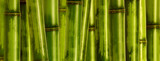 Fototapeta Sypialnia - wide hard bamboo background