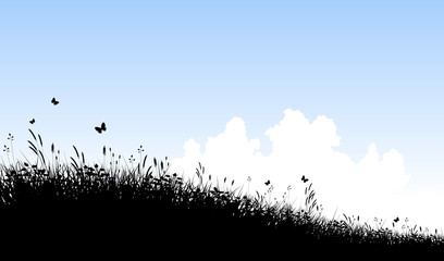 Wall Mural - meadow and sky